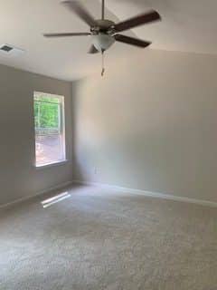 62 Genoa Circle Interior Photo 9